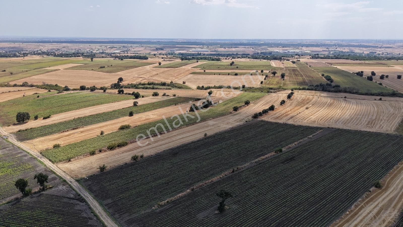 Lüleburgaz Celaliye Köyünde Satılık Bitişik Tarlalar — fotoğraf 9