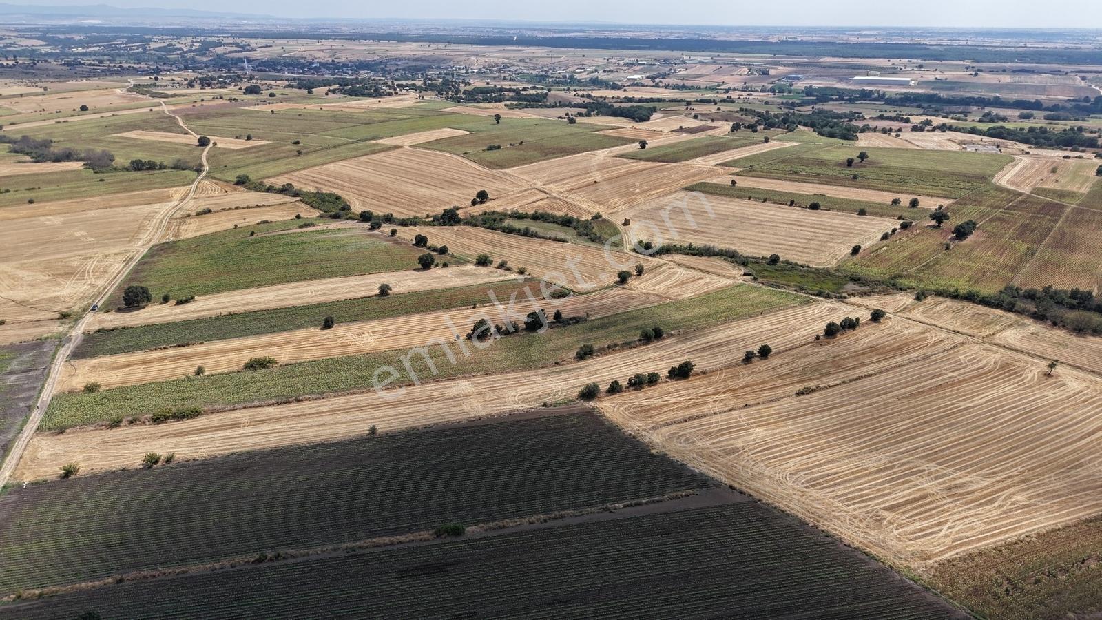 Lüleburgaz Celaliye Köyünde Satılık Bitişik Tarlalar — fotoğraf 12