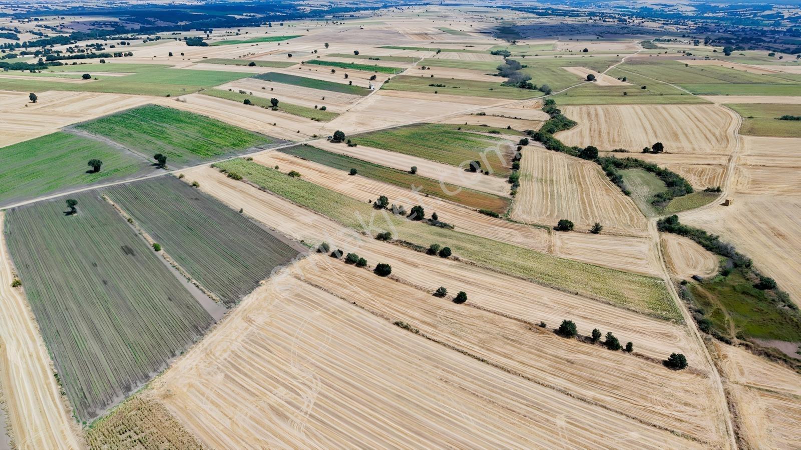 Lüleburgaz Celaliye Köyünde Satılık Bitişik Tarlalar — fotoğraf 17