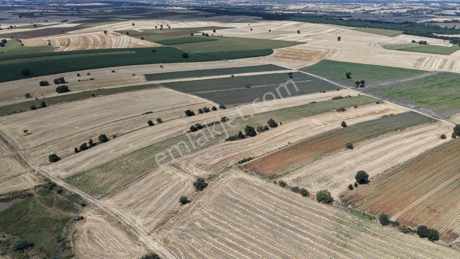 Lüleburgaz Celaliye Köyünde Satılık Bitişik Tarlalar — fotoğraf 28