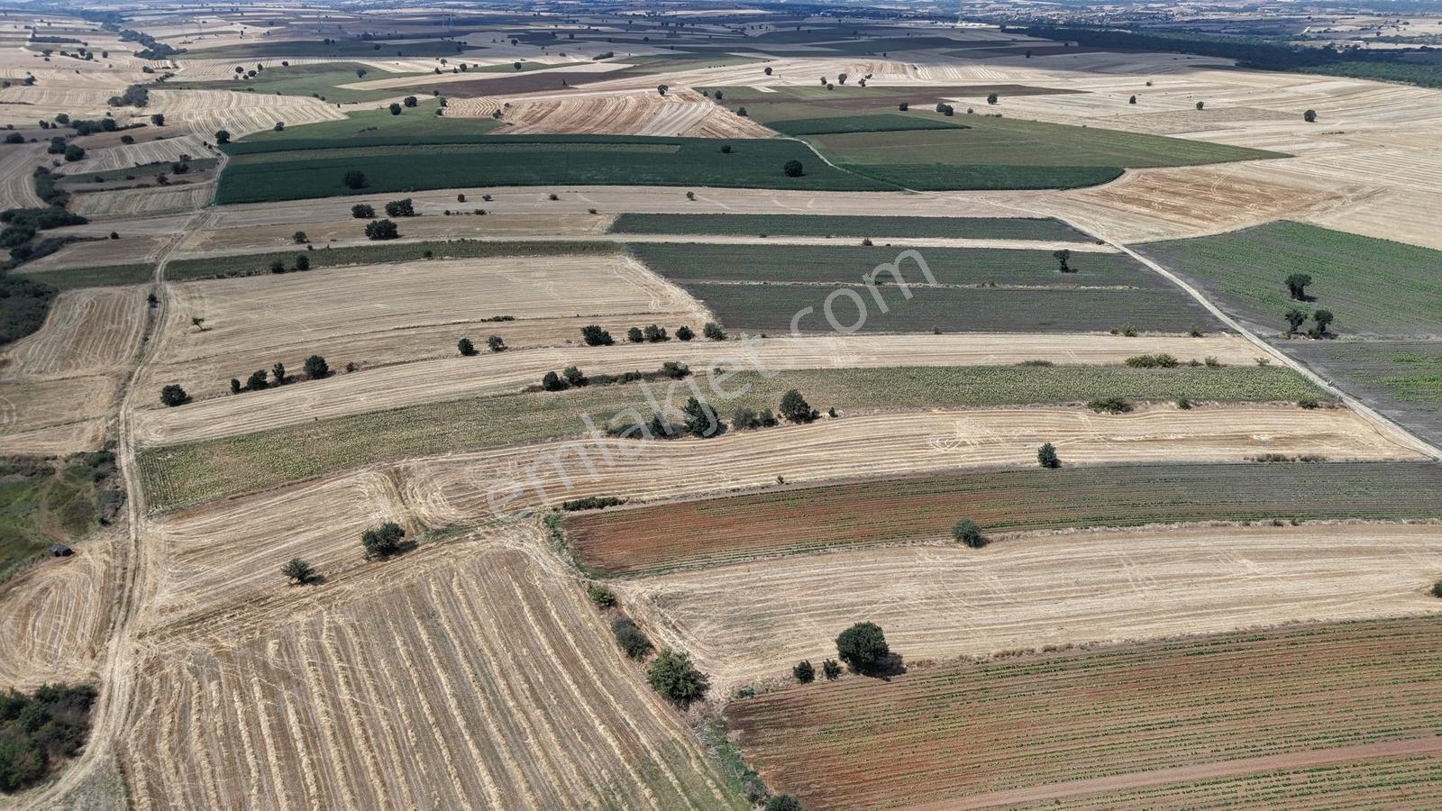 Lüleburgaz Celaliye Köyünde Satılık Bitişik Tarlalar — fotoğraf 29