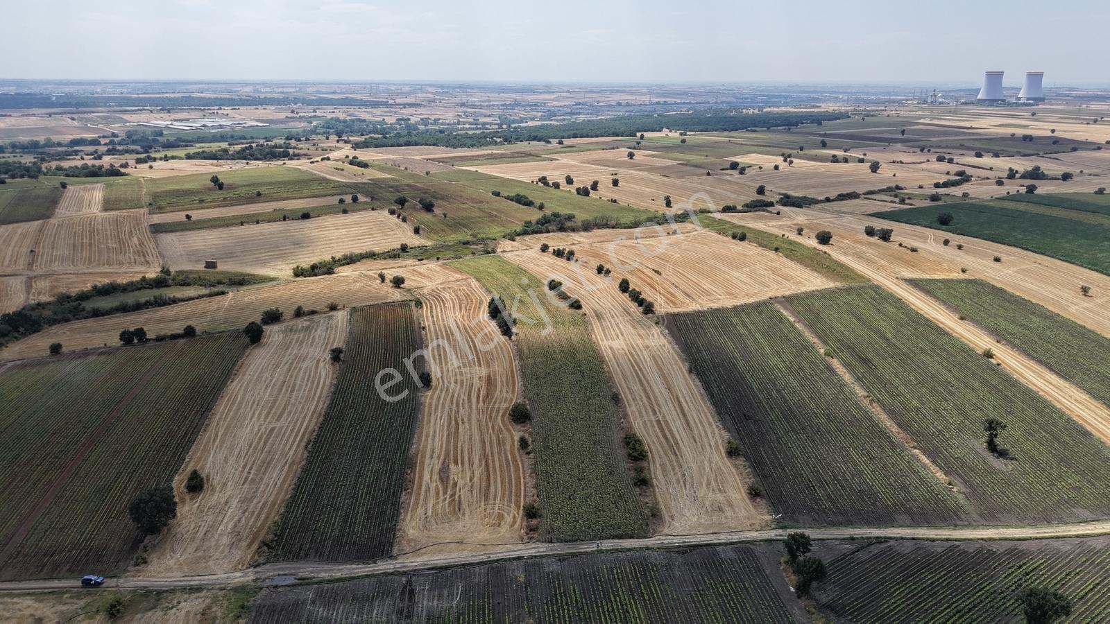 Lüleburgaz Celaliye Köyünde Satılık Bitişik Tarlalar — fotoğraf 32