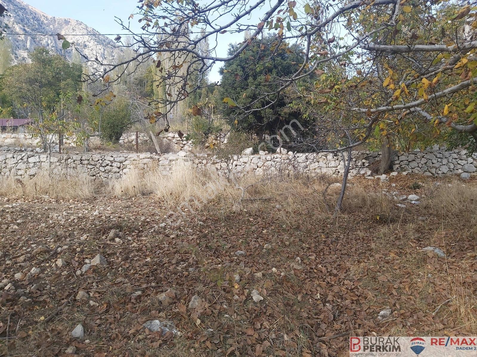 Burak Perkimden Kaş Gömbe Çukurbağda Satılık Tarla Köyiçi İmarlı — fotoğraf 14