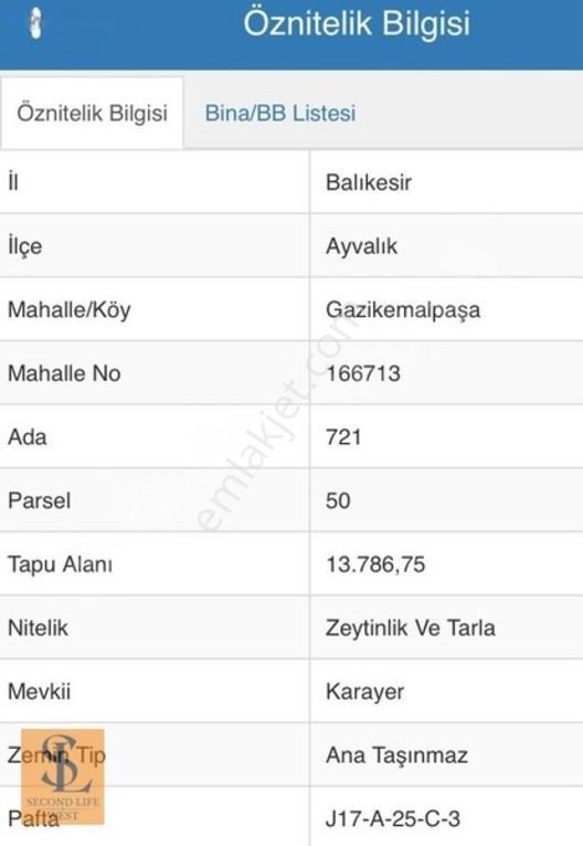 Ayvalık'ta Yola Cepheli 13.786 M² Tarla & Zeytinlik — fotoğraf 2
