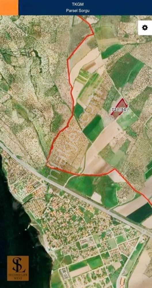 Ayvalık'ta Yola Cepheli 13.786 M² Tarla & Zeytinlik — fotoğraf 3