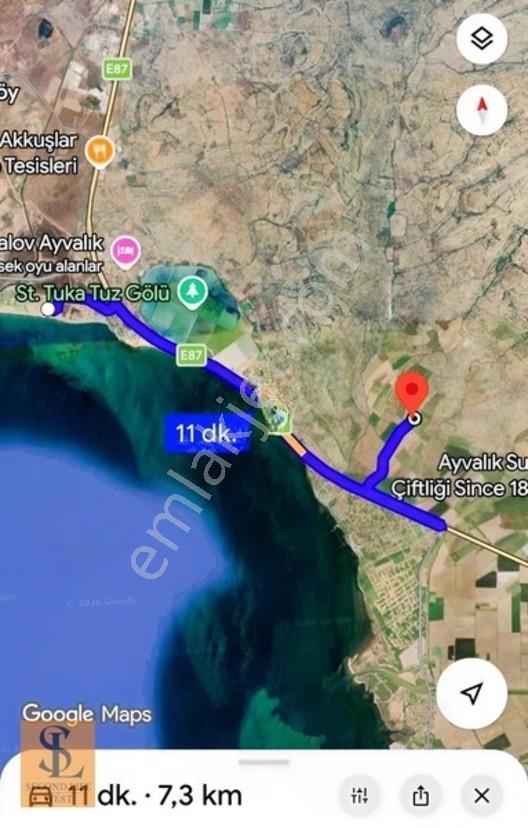 Ayvalık'ta Yola Cepheli 13.786 M² Tarla & Zeytinlik — fotoğraf 5