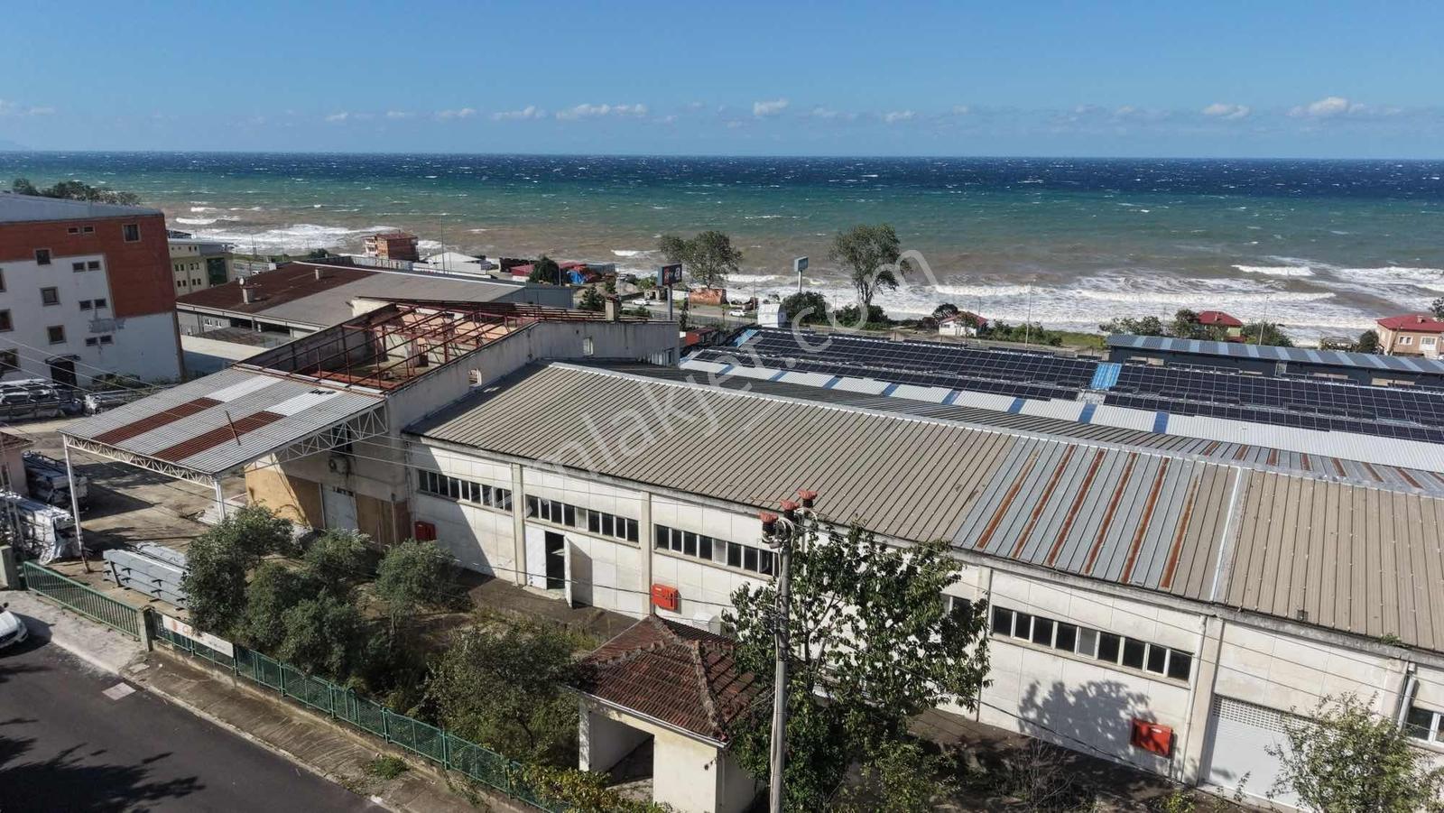 İnvestor Gayrimenkul Arain Organize Satılık Ticari İmarlı Arsa