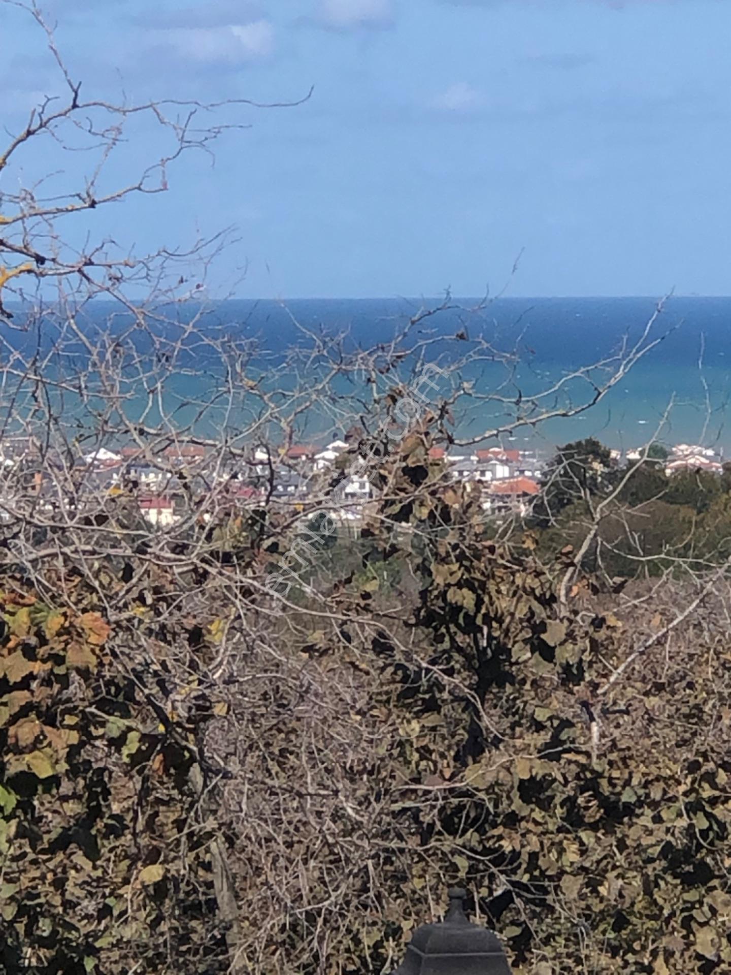 Sakarya Kocaali Alandere Mah Satılık Fındılbahçesi