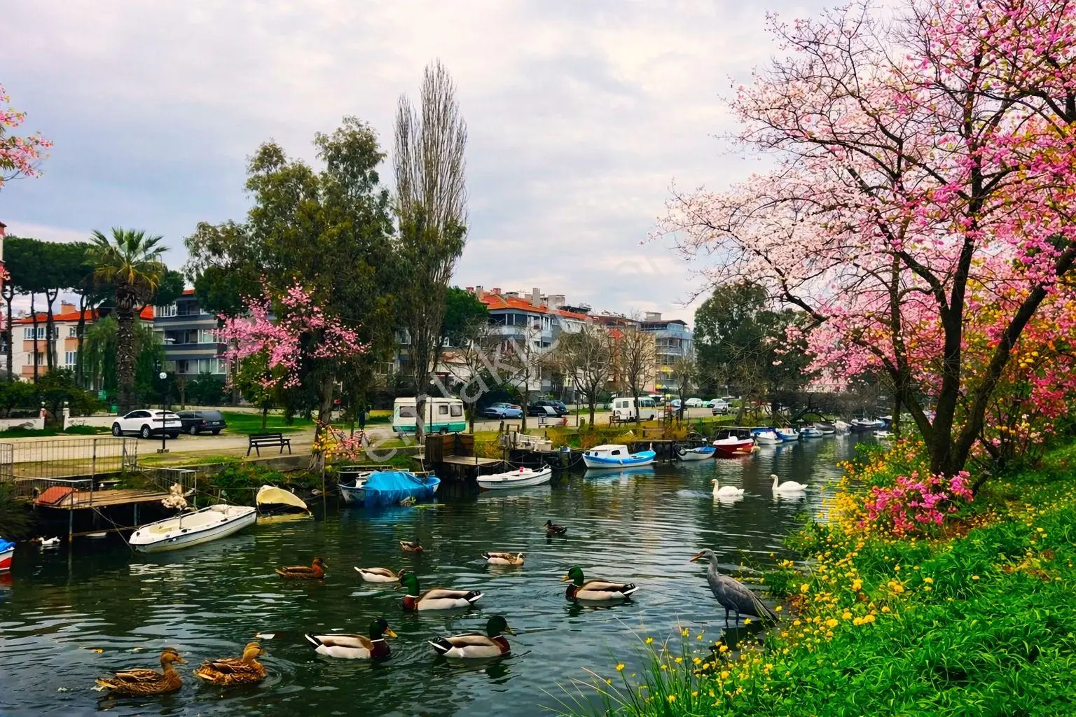 Aktif'Ten Akçay'Da Satılık Denize 300Mt Full Kredili Arakat Manzaralı Harika Kon...