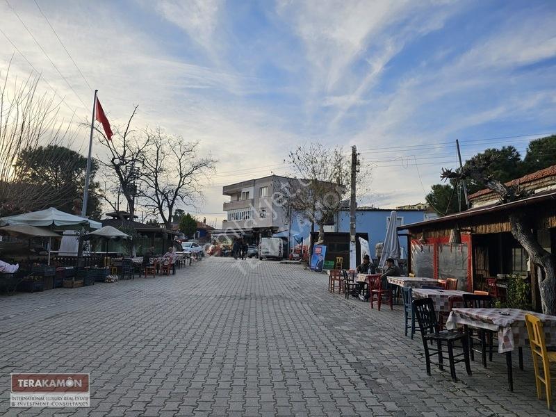 İzmir Seferihisar Ulamış Yola Cepheli 10.000 M2 Zeytinlik Arsa T — fotoğraf 2