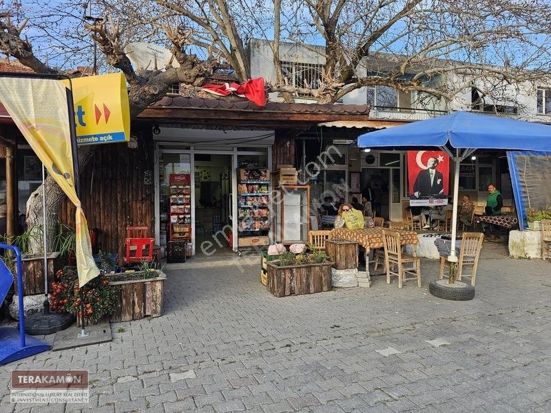 İzmir Seferihisar Ulamış Yola Cepheli 10.000 M2 Zeytinlik Arsa T — fotoğraf 4