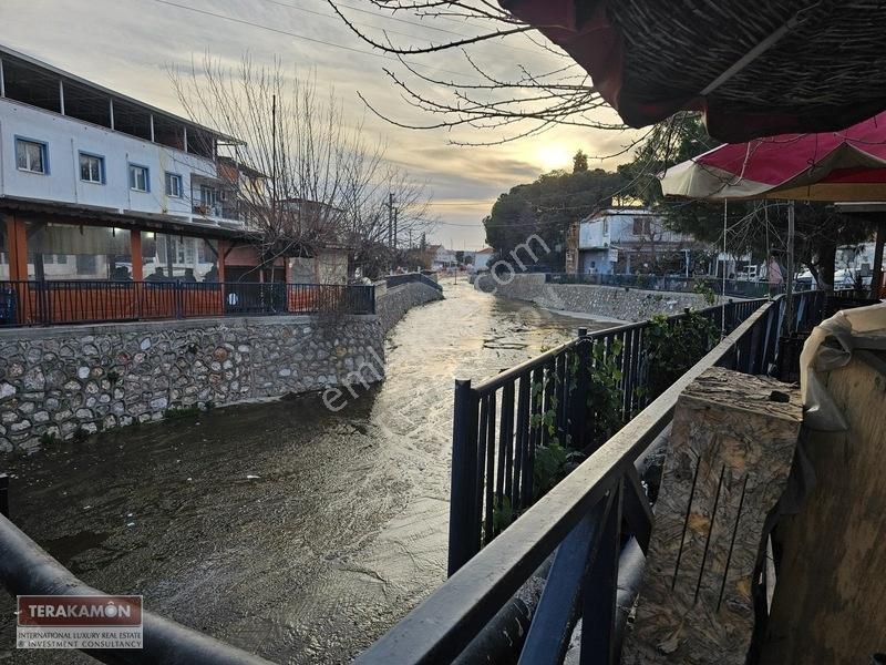 İzmir Seferihisar Ulamış Yola Cepheli 10.000 M2 Zeytinlik Arsa T — fotoğraf 5