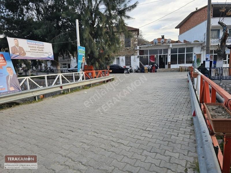 İzmir Seferihisar Ulamış Yola Cepheli 10.000 M2 Zeytinlik Arsa T — fotoğraf 6