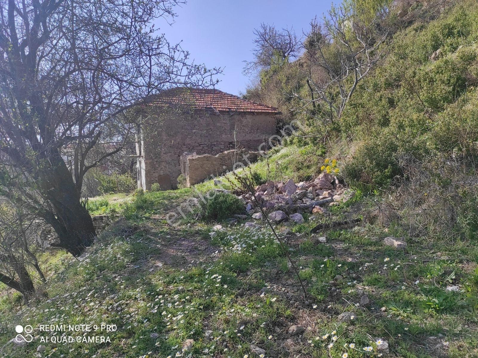 Akbük Koyuna 15 Dakika Deniz Manzaralı 4 Parsel İmkanı — fotoğraf 16