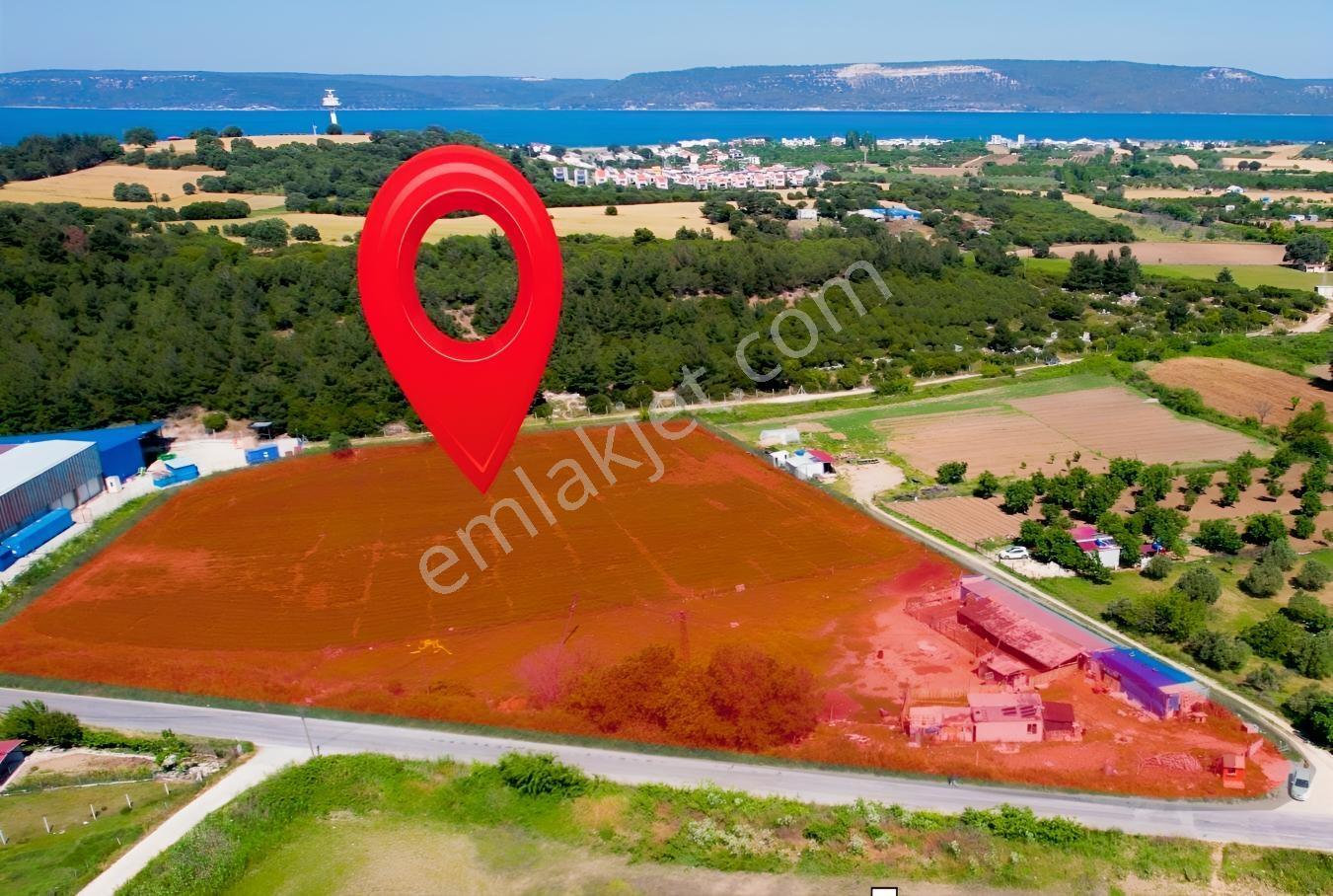 Çanakkale Merkez Dardanos Satılık 13 Dönüm Tarla (Yola Cepheli)