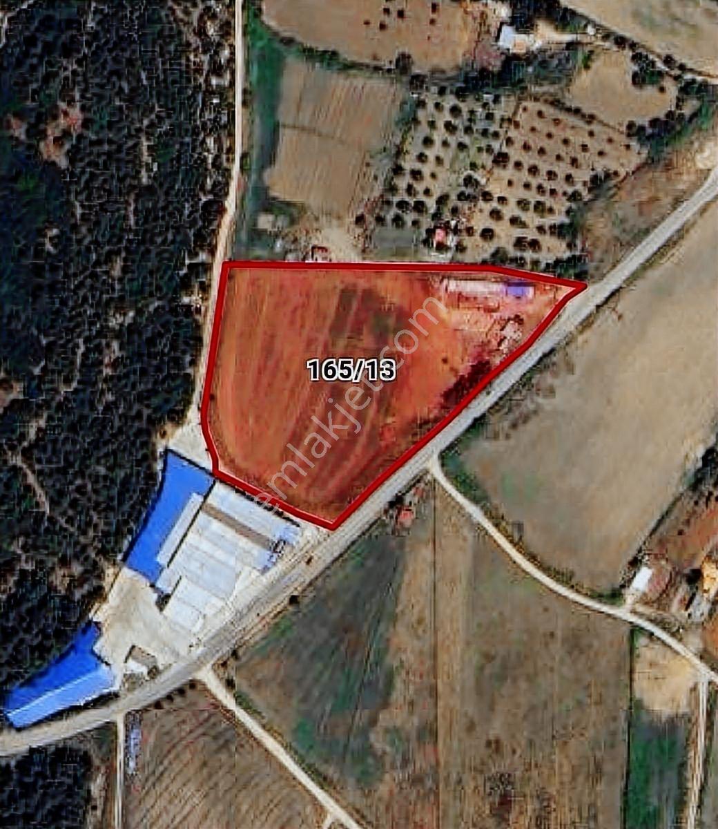 Çanakkale Merkez Dardanos Satılık 13 Dönüm Tarla (yola Cepheli) — fotoğraf 4