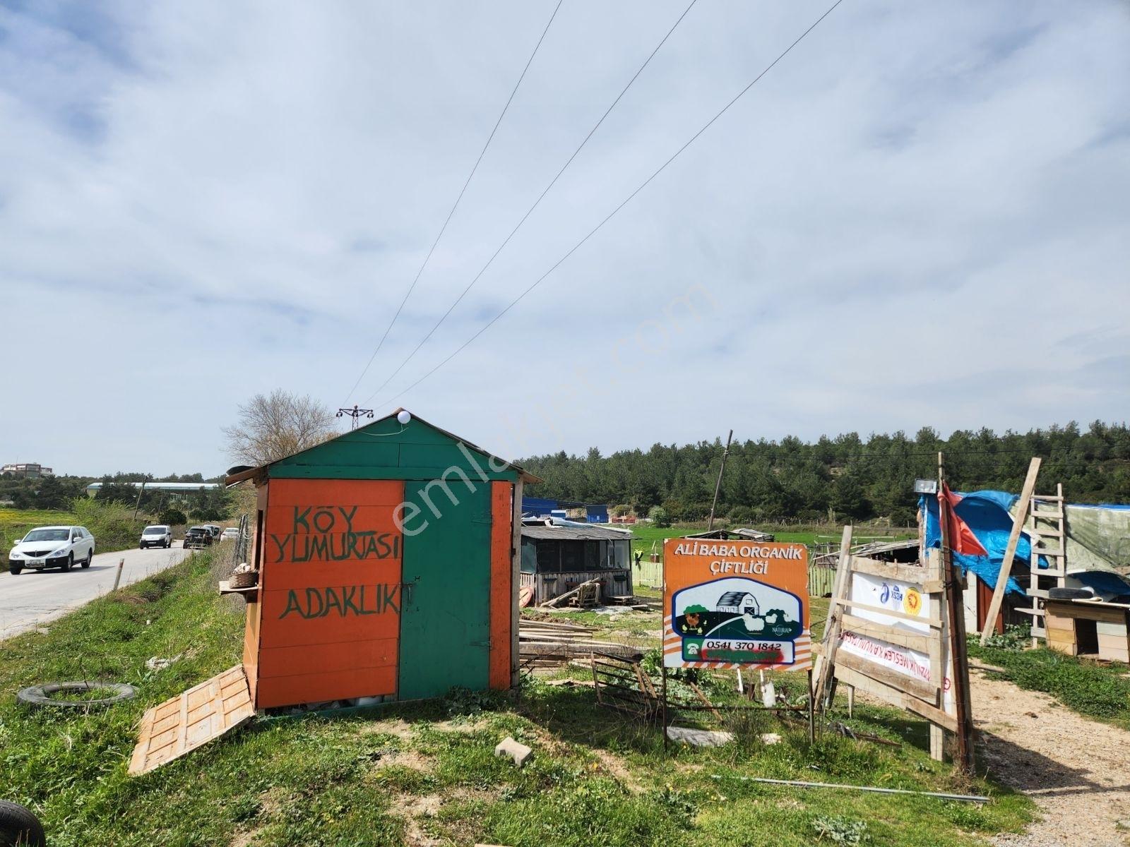 Çanakkale Merkez Dardanos Satılık 13 Dönüm Tarla (yola Cepheli) — fotoğraf 6
