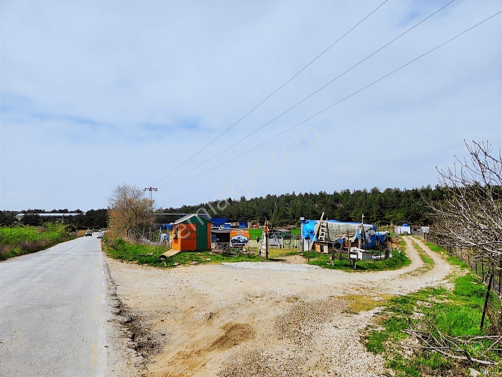Çanakkale Merkez Dardanos Satılık 13 Dönüm Tarla (yola Cepheli) — fotoğraf 7