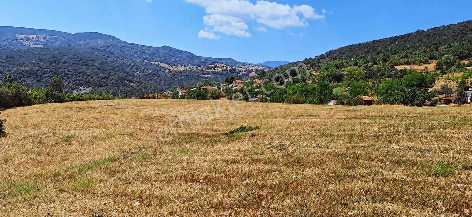 Taraklı Kemallerde 2.178 M2 Kaçırılmayacak Yatırımlık Kupon Arsa