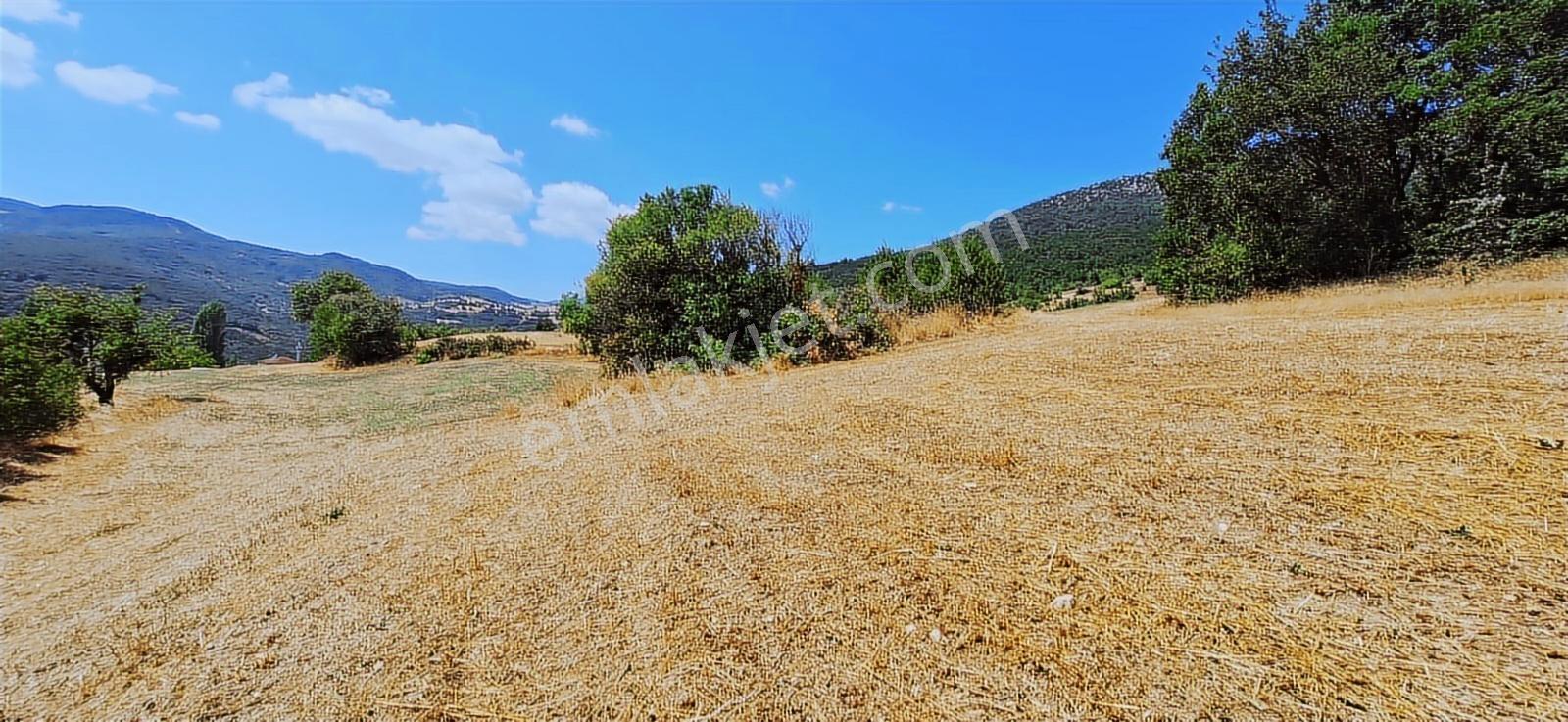 Taraklı Kemallerde 2.178 M2 Kaçırılmayacak Yatırımlık Kupon Arsa — fotoğraf 3