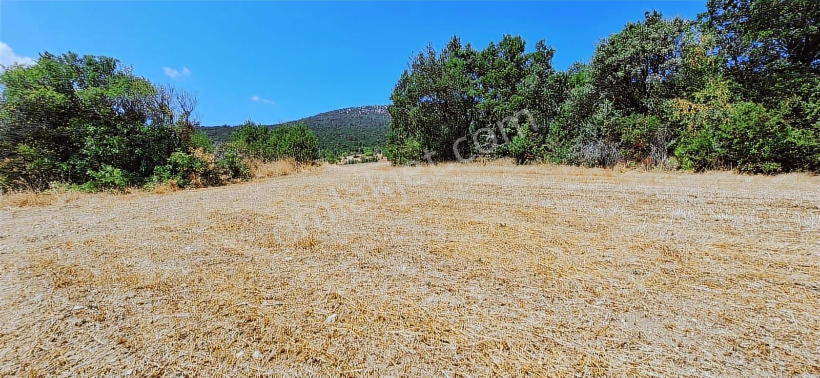 Taraklı Kemallerde 2.178 M2 Kaçırılmayacak Yatırımlık Kupon Arsa — fotoğraf 4