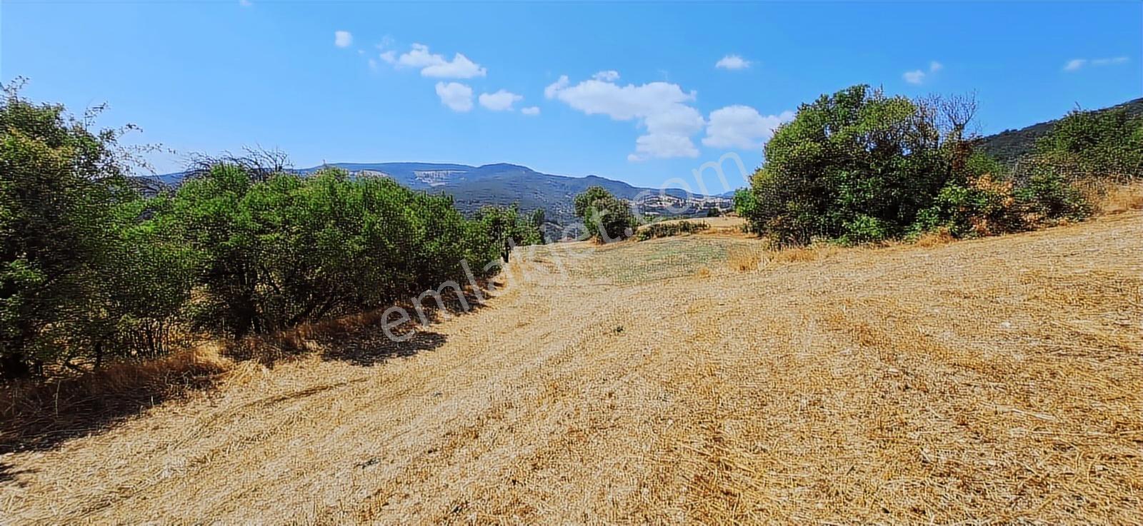 Taraklı Kemallerde 2.178 M2 Kaçırılmayacak Yatırımlık Kupon Arsa — fotoğraf 5