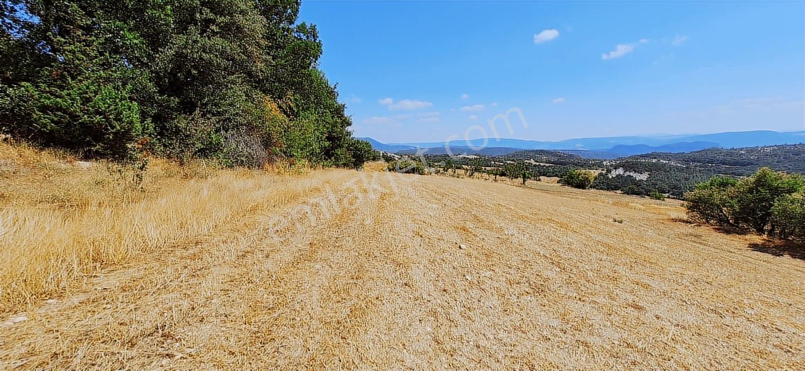 Taraklı Kemallerde 2.178 M2 Kaçırılmayacak Yatırımlık Kupon Arsa — fotoğraf 6