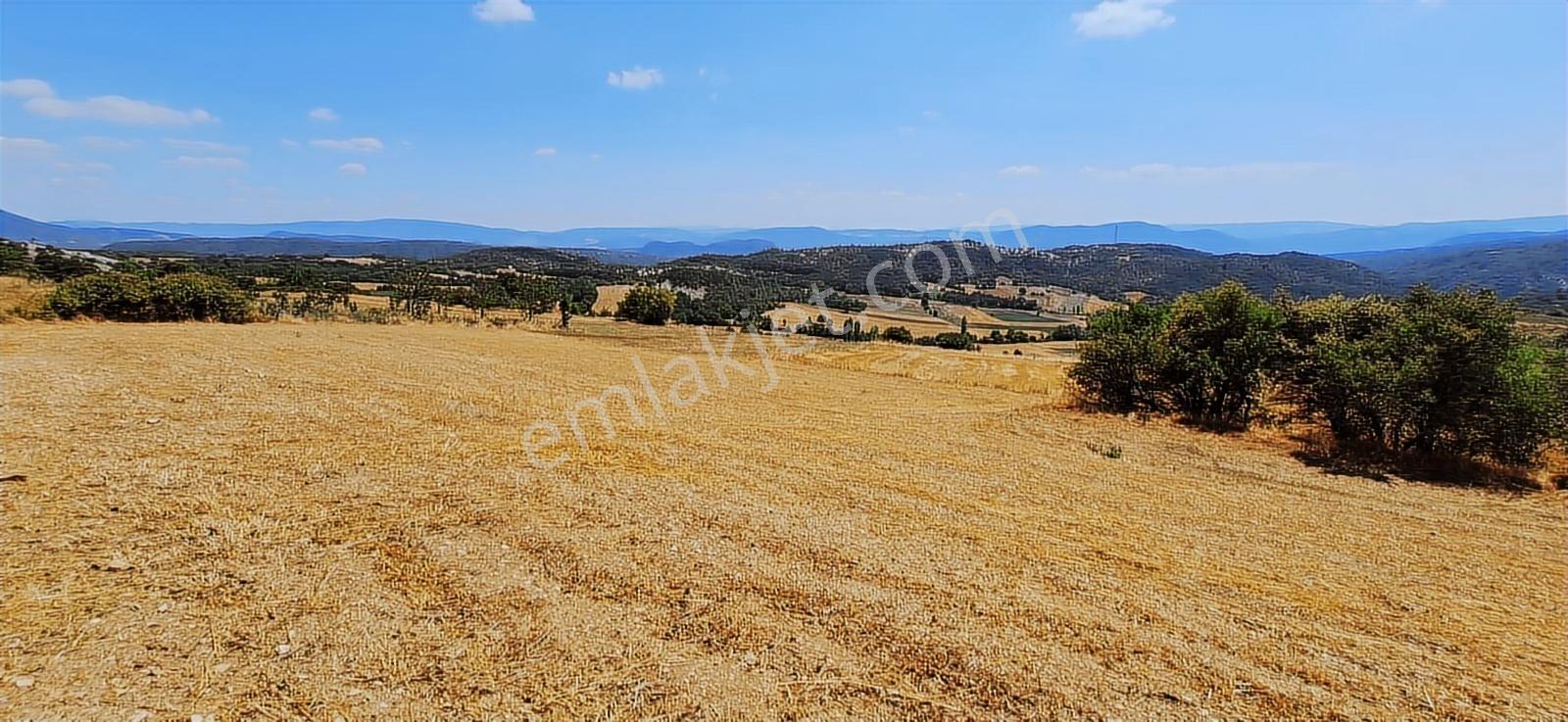 Taraklı Kemallerde 2.178 M2 Kaçırılmayacak Yatırımlık Kupon Arsa — fotoğraf 7