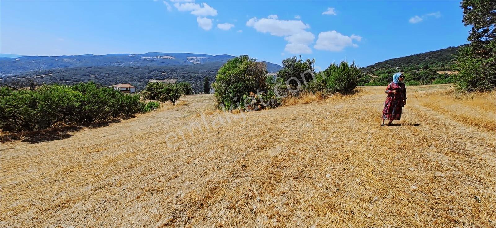 Taraklı Kemallerde 2.178 M2 Kaçırılmayacak Yatırımlık Kupon Arsa — fotoğraf 8