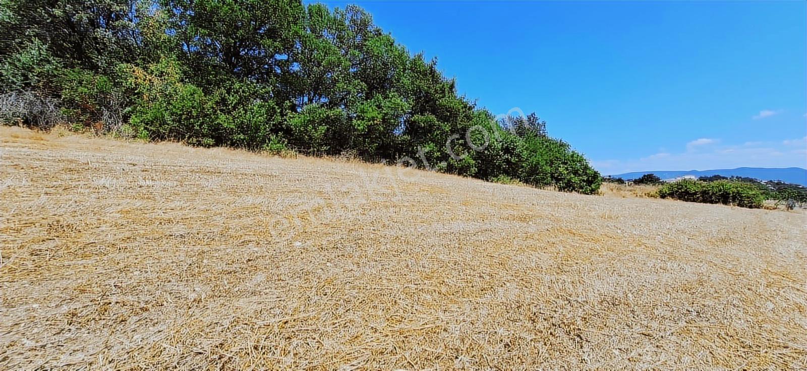 Taraklı Kemallerde 2.178 M2 Kaçırılmayacak Yatırımlık Kupon Arsa — fotoğraf 9