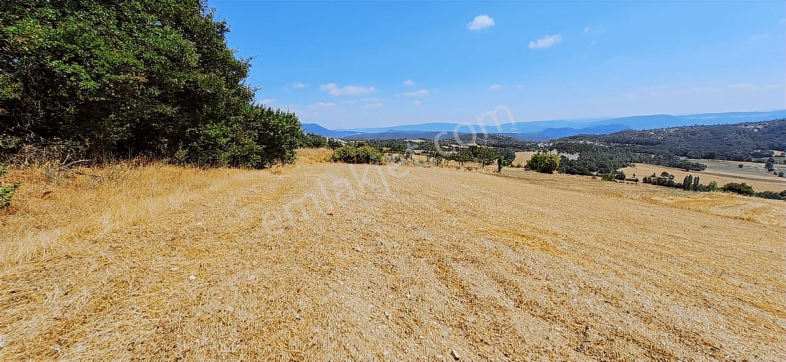 Taraklı Kemallerde 2.178 M2 Kaçırılmayacak Yatırımlık Kupon Arsa — fotoğraf 10