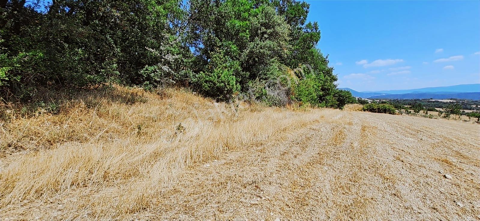 Taraklı Kemallerde 2.178 M2 Kaçırılmayacak Yatırımlık Kupon Arsa — fotoğraf 11