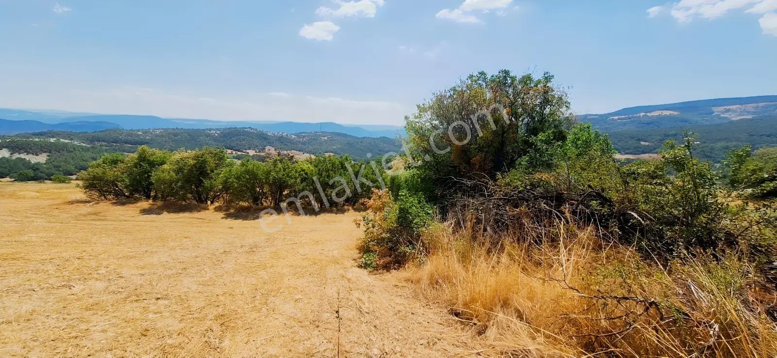 Taraklı Kemallerde 2.178 M2 Kaçırılmayacak Yatırımlık Kupon Arsa — fotoğraf 14