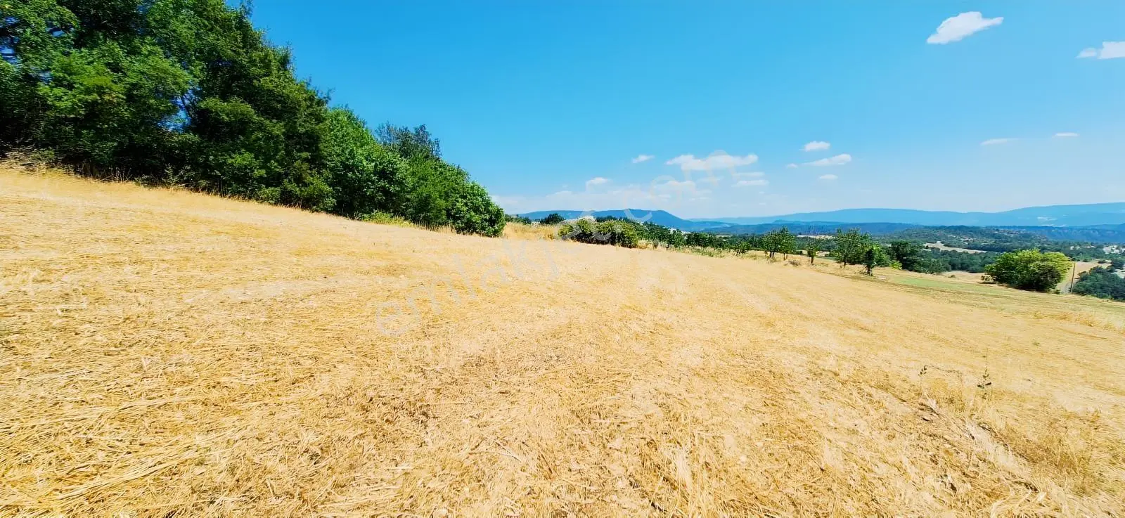 Taraklı Kemallerde 2.178 M2 Kaçırılmayacak Yatırımlık Kupon Arsa — fotoğraf 16