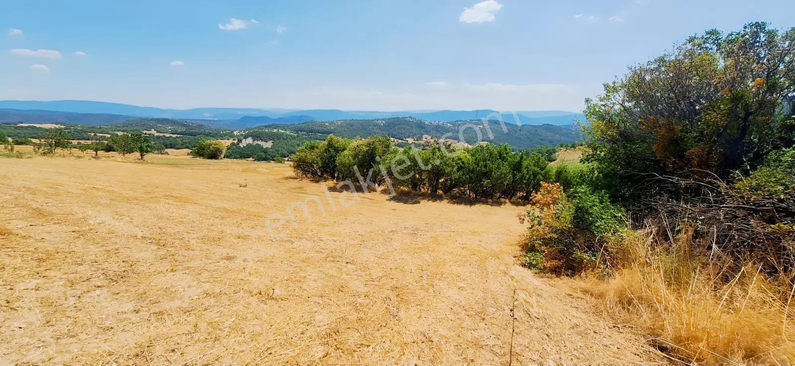 Taraklı Kemallerde 2.178 M2 Kaçırılmayacak Yatırımlık Kupon Arsa — fotoğraf 17