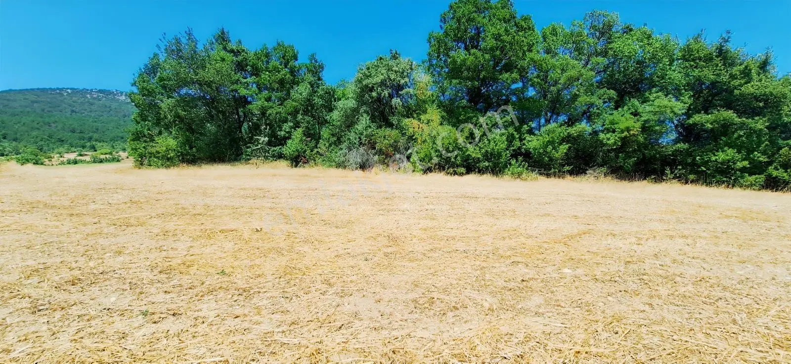 Taraklı Kemallerde 2.178 M2 Kaçırılmayacak Yatırımlık Kupon Arsa — fotoğraf 18