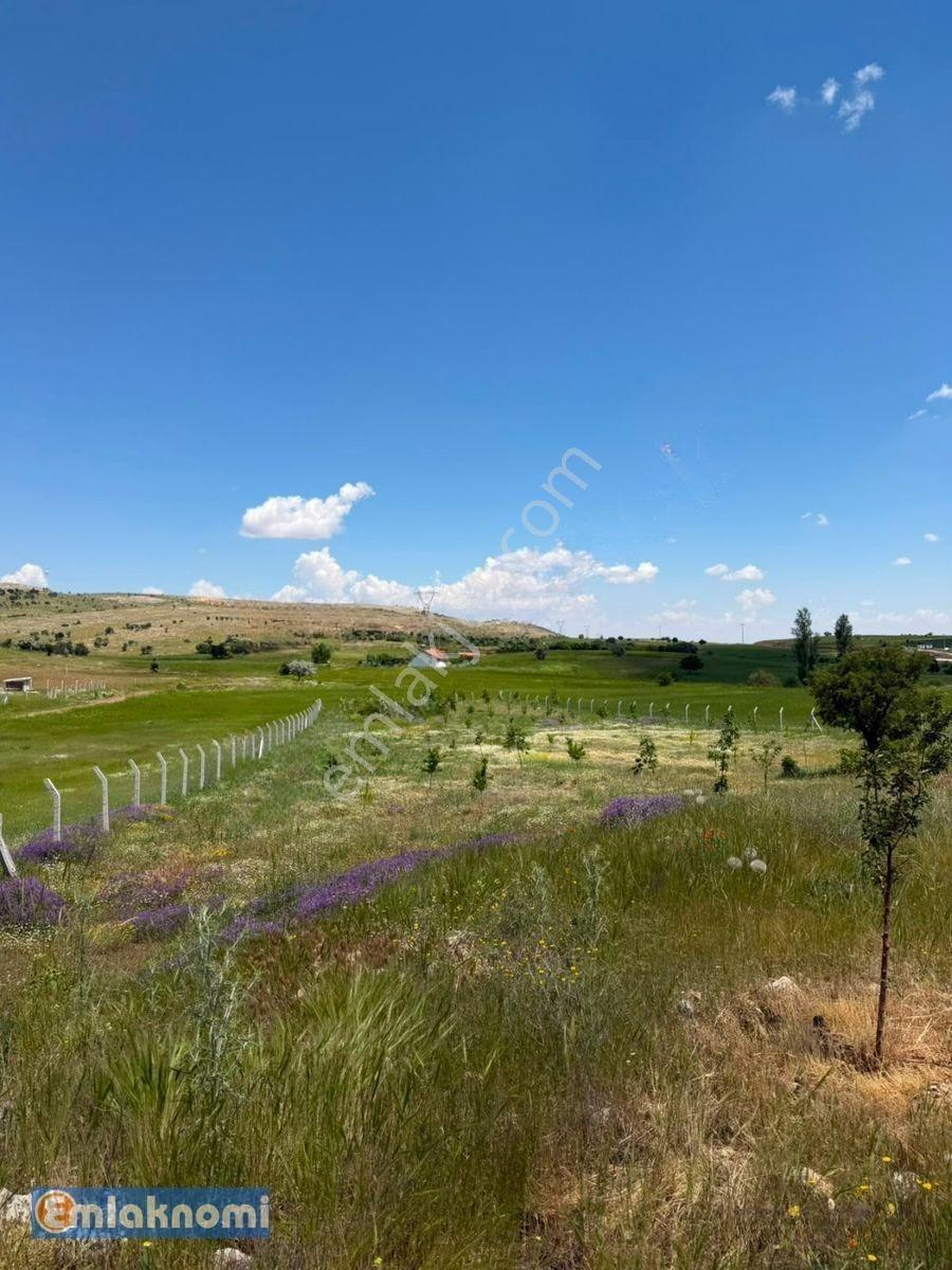 Emlaknomi'den Burhan Satılık Hobi Bahçesi 4470 M2 İçerisinde Ev Var Su Var — fotoğraf 3