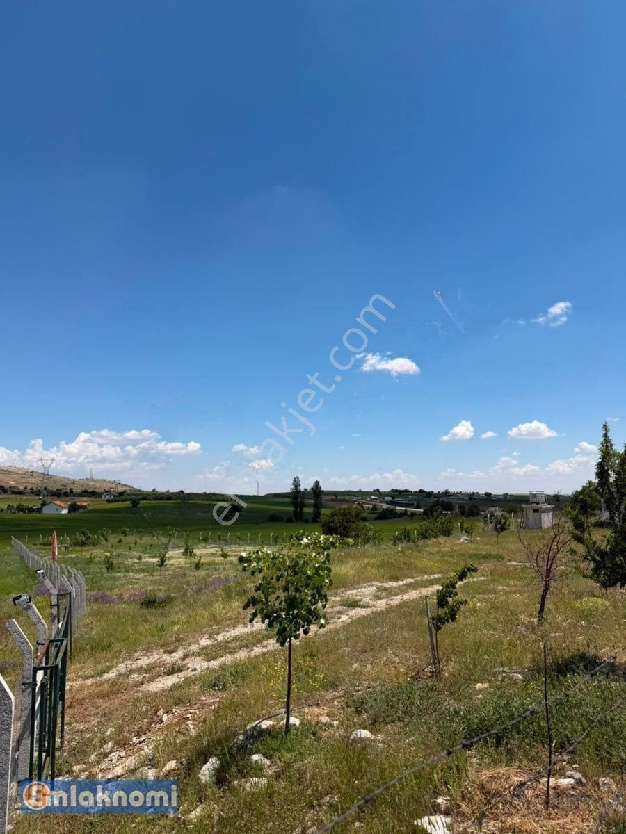 Emlaknomi'den Burhan Satılık Hobi Bahçesi 4470 M2 İçerisinde Ev Var Su Var — fotoğraf 7