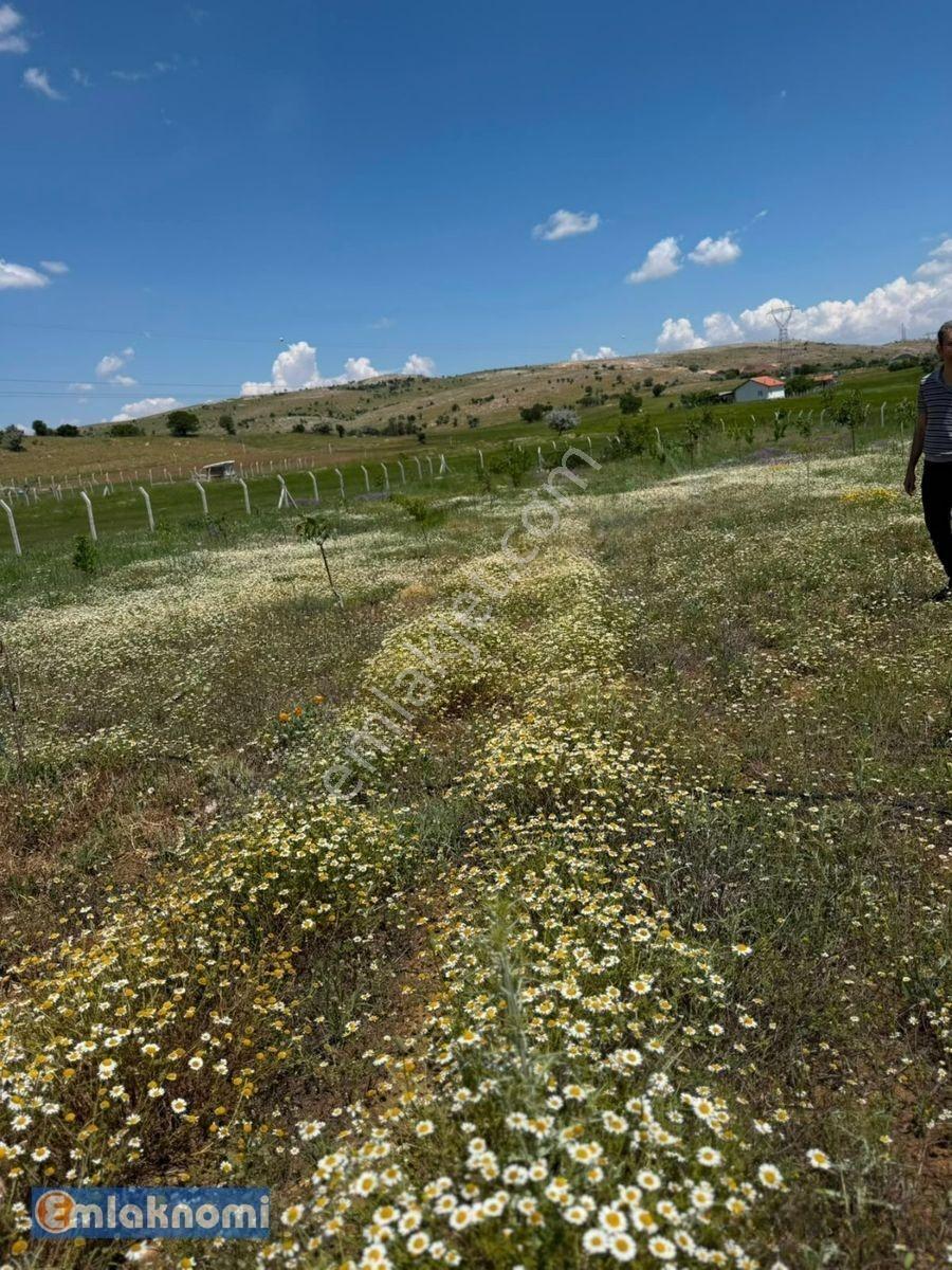 Emlaknomi'den Burhan Satılık Hobi Bahçesi 4470 M2 İçerisinde Ev Var Su Var — fotoğraf 9