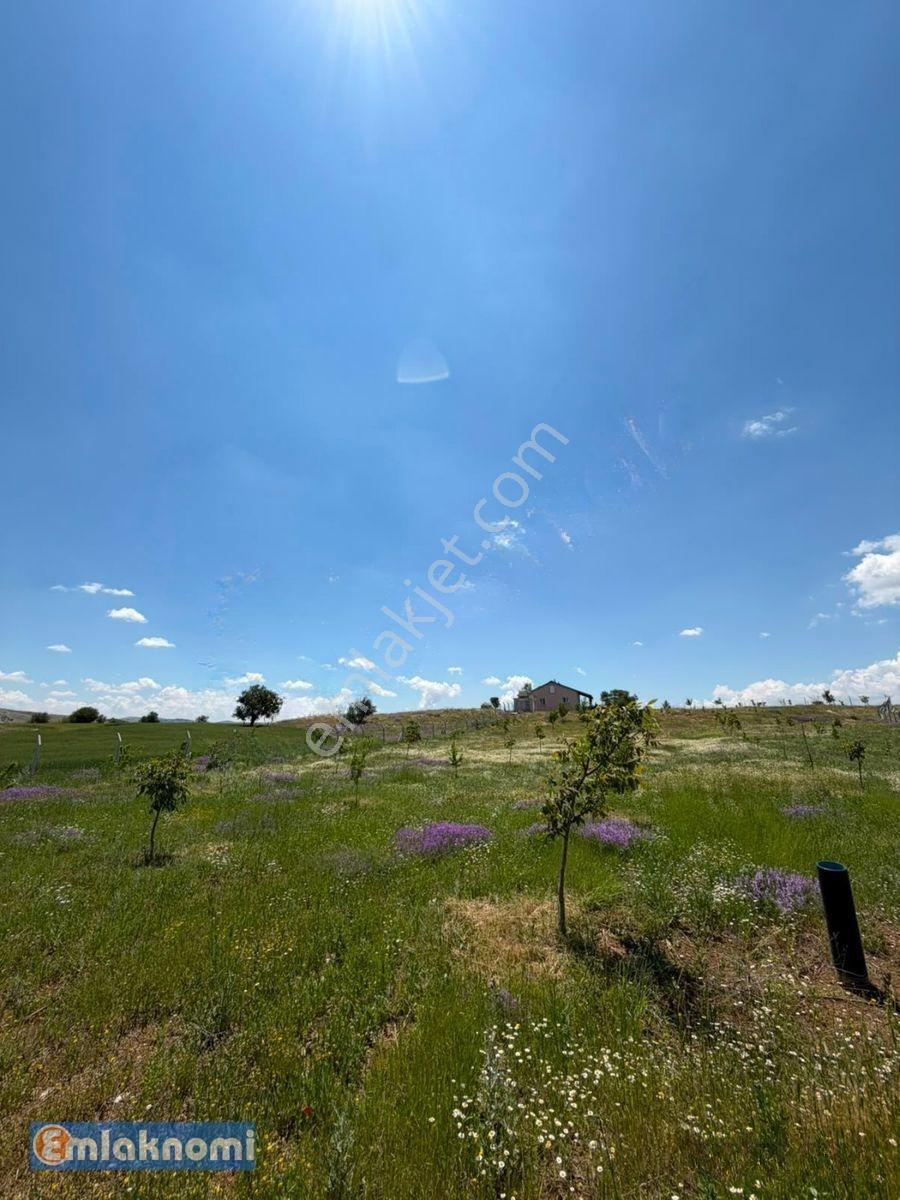 Emlaknomi'den Burhan Satılık Hobi Bahçesi 4470 M2 İçerisinde Ev Var Su Var — fotoğraf 12