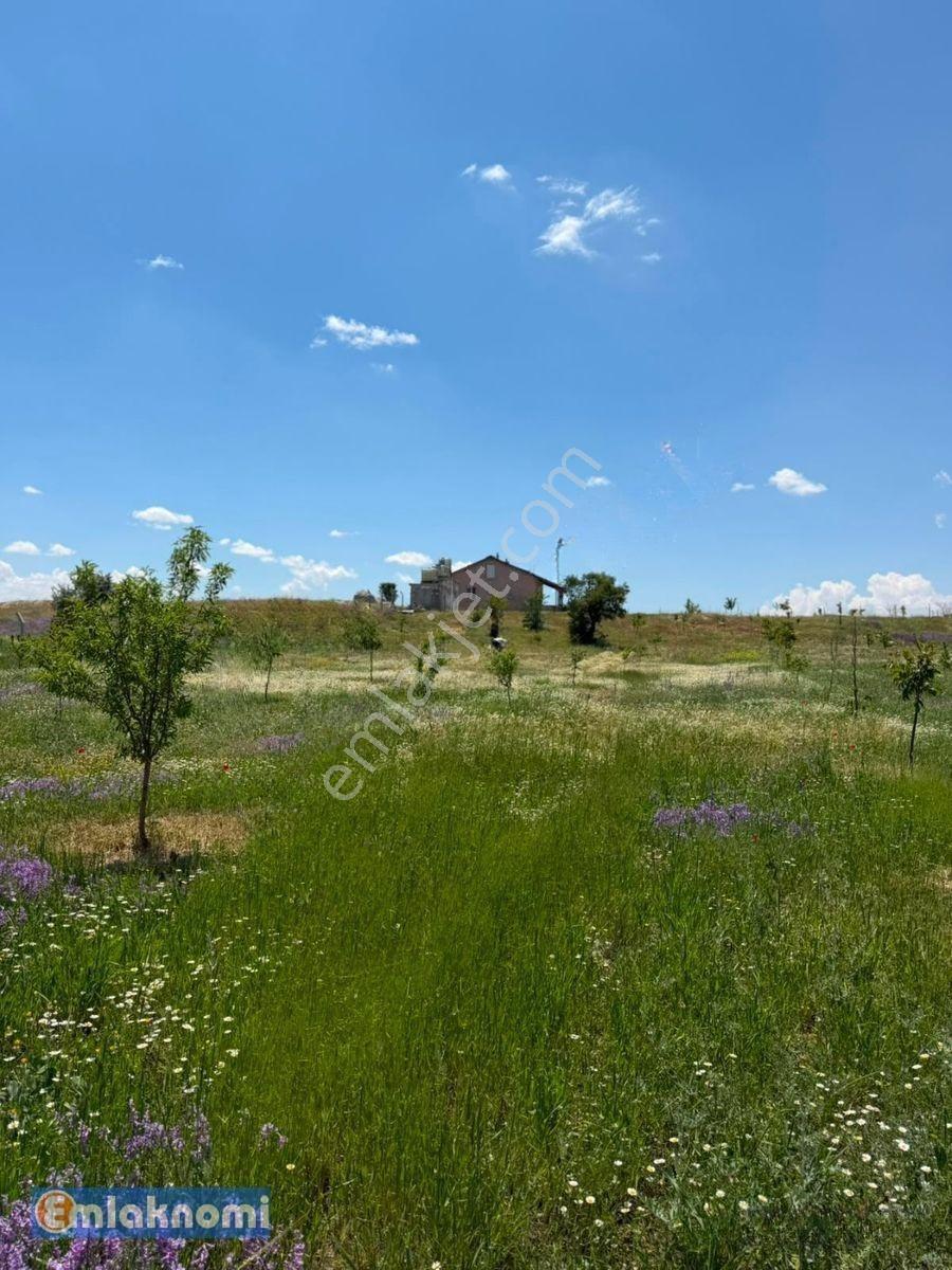 Emlaknomi'den Burhan Satılık Hobi Bahçesi 4470 M2 İçerisinde Ev Var Su Var — fotoğraf 14