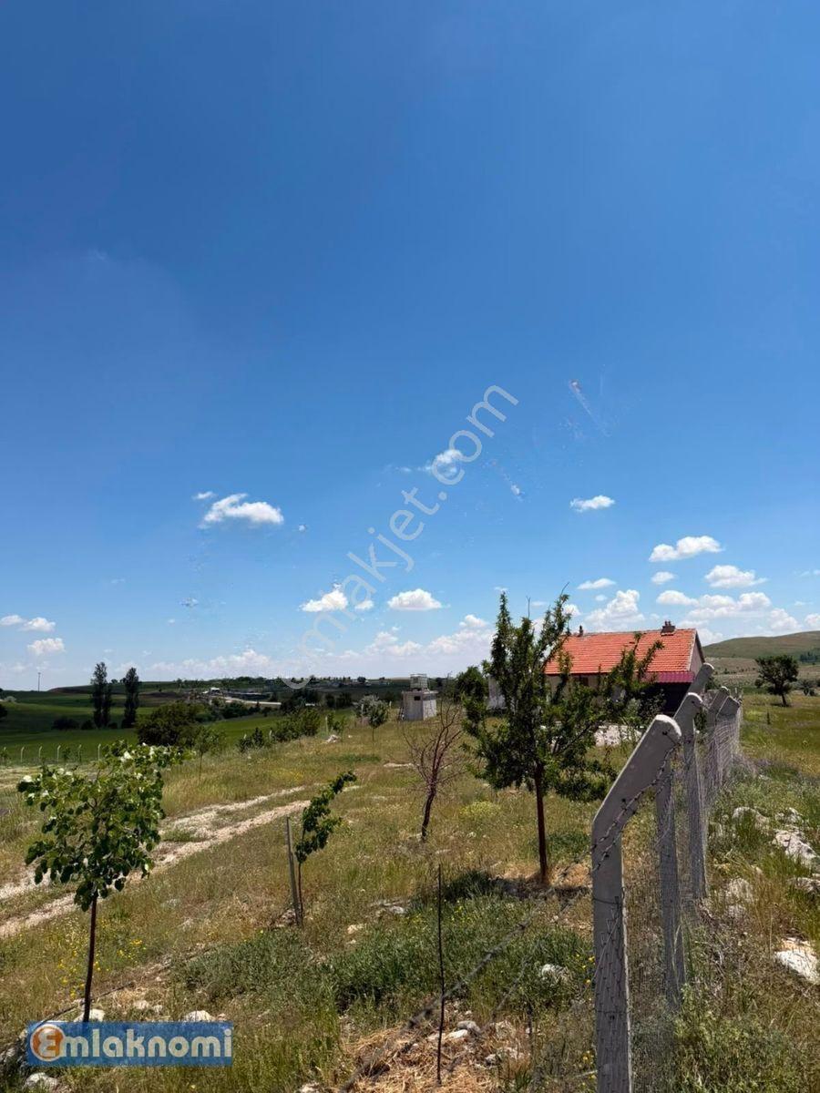 Emlaknomi'den Burhan Satılık Hobi Bahçesi 4470 M2 İçerisinde Ev Var Su Var — fotoğraf 23