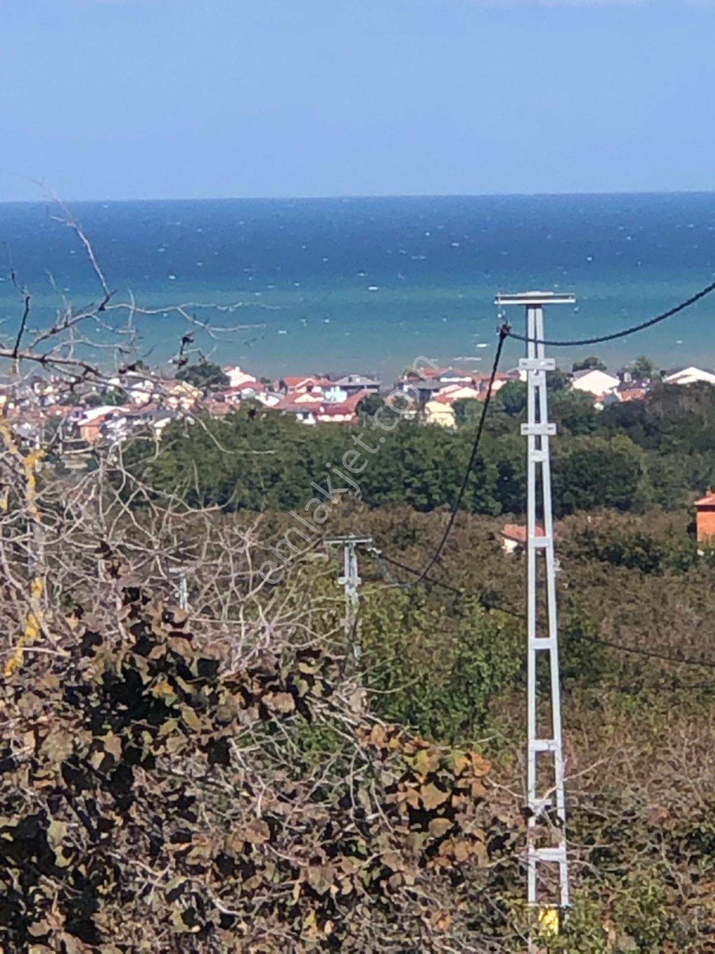 Kocaali Sakarya Alandere Acil Satılık Fındık Bahçesif — fotoğraf 10