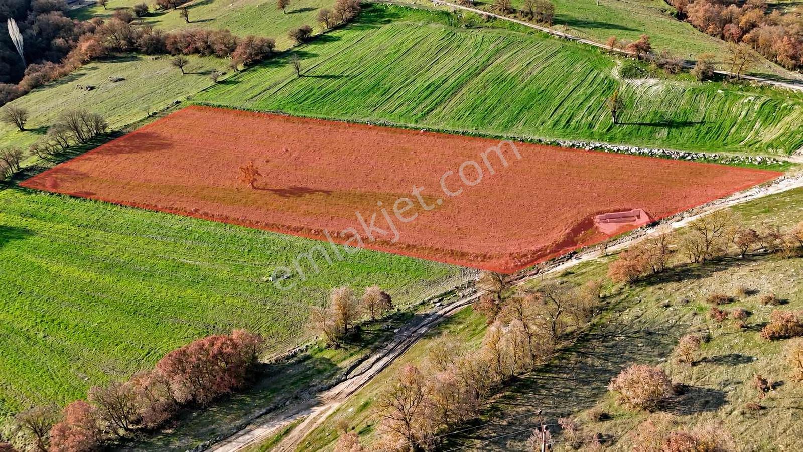 Aytar'sdan Balıkesır Bıgadiç Kargın Mahallesı Satılık Tarla 5753 — fotoğraf 5