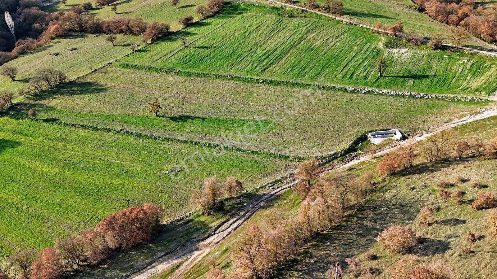 Aytar'sdan Balıkesır Bıgadiç Kargın Mahallesı Satılık Tarla 5753 — fotoğraf 7