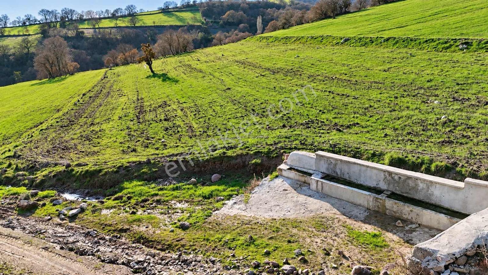 Aytar'sdan Balıkesır Bıgadiç Kargın Mahallesı Satılık Tarla 5753 — fotoğraf 8