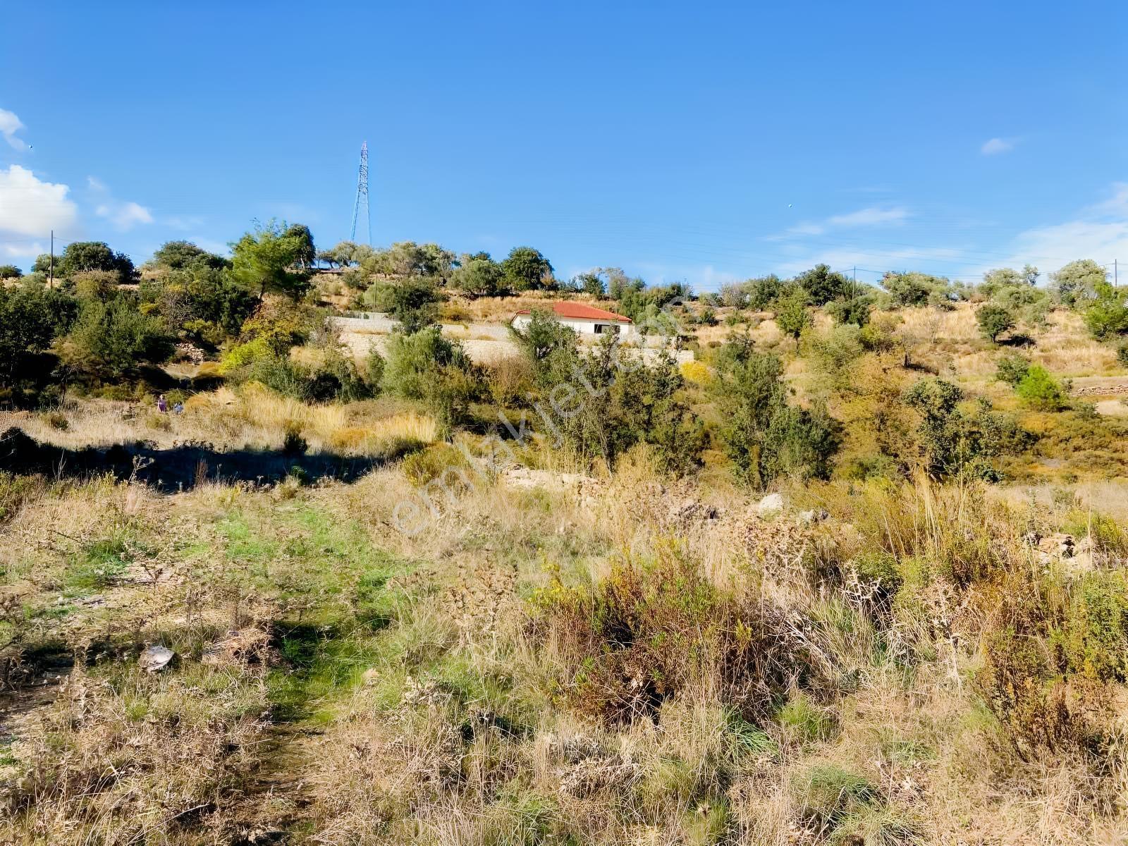 Milas Çiftlik Mah. Satılık 2.254 M2 Tarla