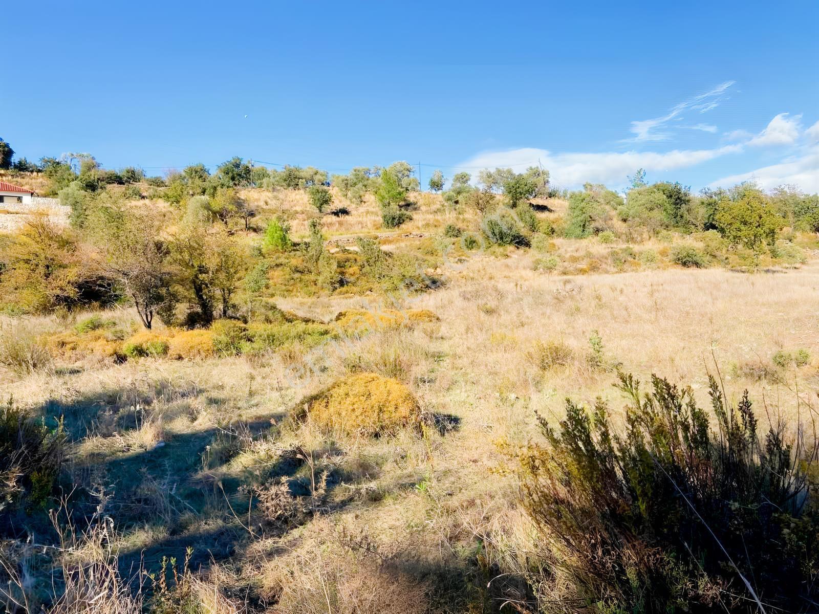 Milas Çiftlik Mah. Satılık 2.254 M2 Tarla — fotoğraf 2
