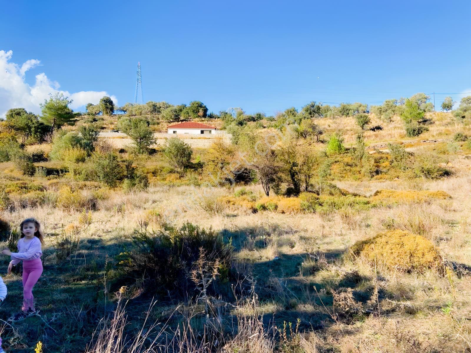 Milas Çiftlik Mah. Satılık 2.254 M2 Tarla — fotoğraf 3
