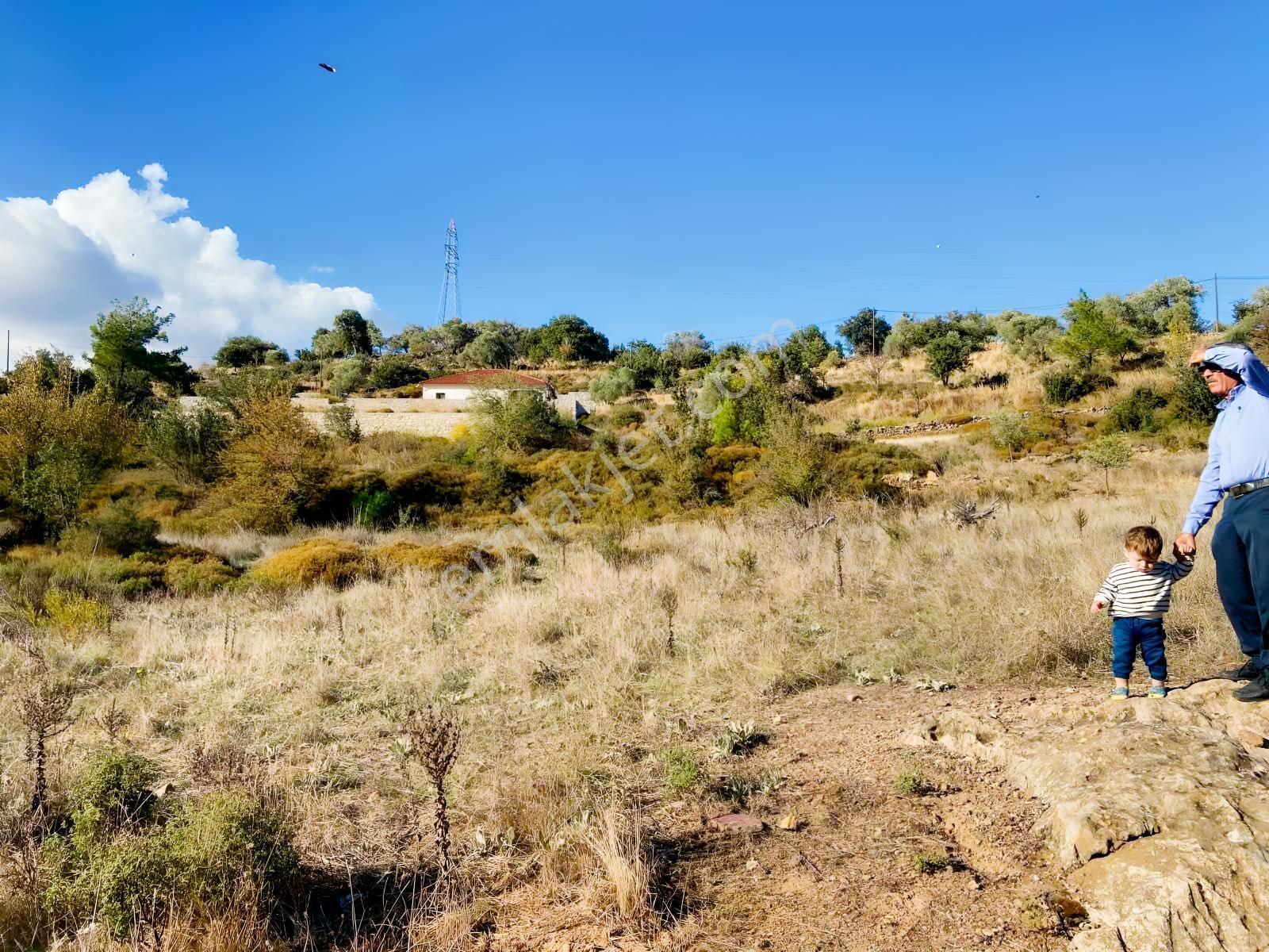 Milas Çiftlik Mah. Satılık 2.254 M2 Tarla — fotoğraf 5